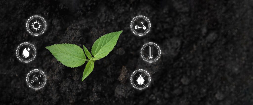 Young plant sprouting from fertile soil surrounded by icons representing renewable energy, water conservation, and sustainable technologies, embodying the growth and potential of Innovative Sustainability Technologies.