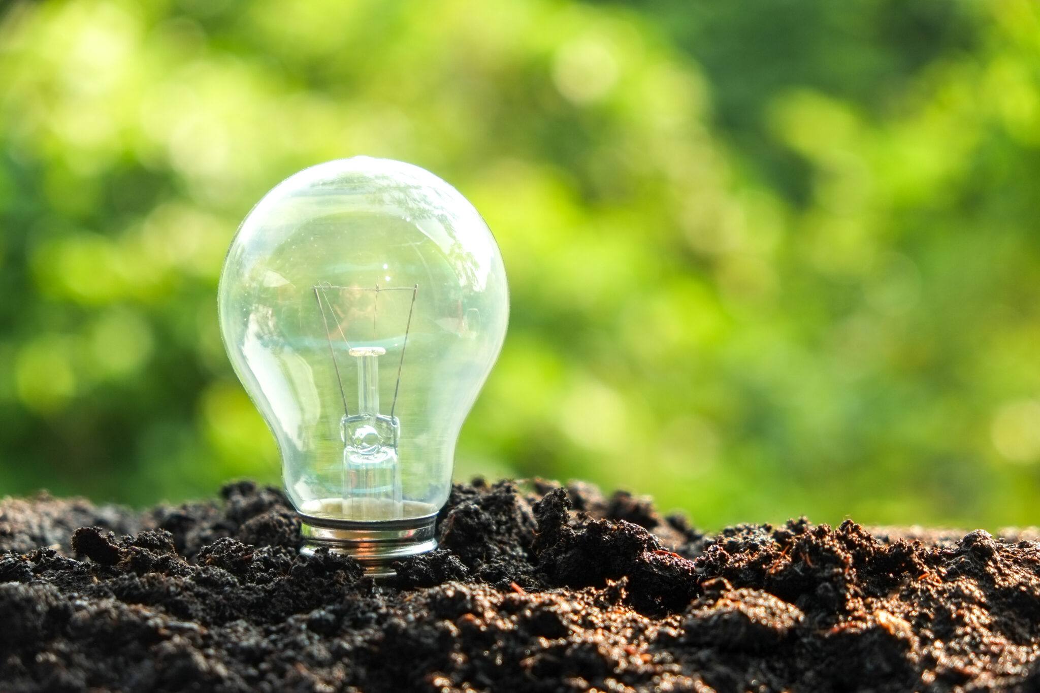 An incandescent light bulb stands upright in rich soil against a lush green backdrop, symbolizing the growth of Innovative Sustainability Technologies and the bright potential for eco-friendly solutions in energy.